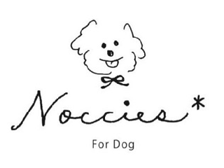 ⑨Noccies*〜のっちーず〜