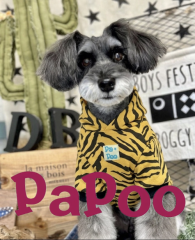 PaPoo（5/10出店）