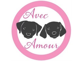 ⑤AvecAmour(アヴェカムール)