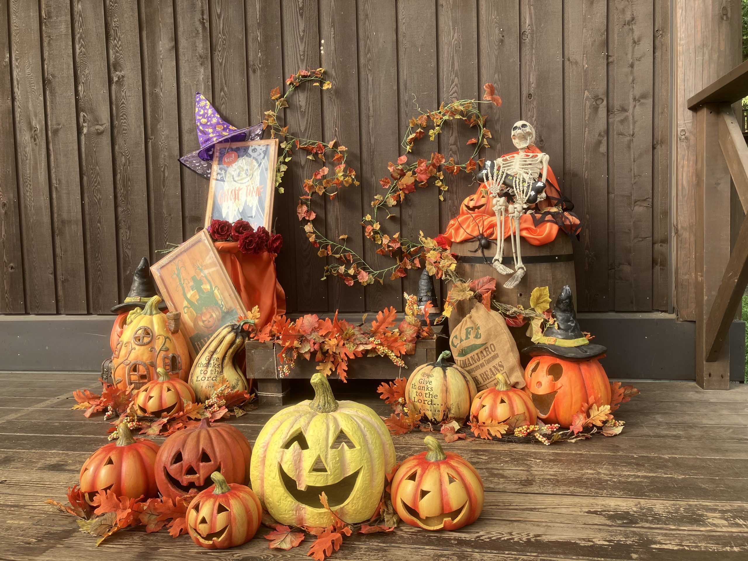 フォトスポット「ハロウィンバージョン」になりました！｜わんダフルな