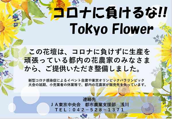 Tokyo Flowerチラシ画像