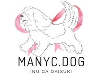 ④many C(メニーシー)