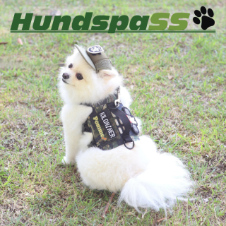 HundspaSS（5/10出店）